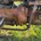 massey-ferguson-50-image-29