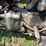 massey-ferguson-50-image-77