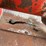 massey-ferguson-1143-image-17