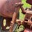 farmall-404-lp-image-50