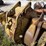 #2532-•-approx-22“-trenching-bucket-image-3