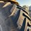 2017-raven-viper-image-60