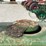 john-deere-720-image-73