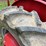 farmall-140-image-47