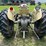 massey-ferguson-40-image-4