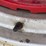 farmall-super-w6-ta-image-15