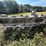 alumacraft-tropy-170-boat-image-9