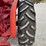 farmall-super-w6-ta-image-44