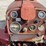 international-660-image-9