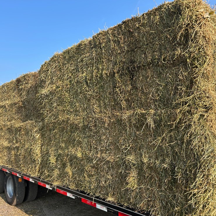 #4620 • 2nd Crop Hay
