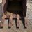 #2531-•-approx-16"-trenching-bucket-image-5