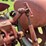 farmall-404-lp-image-51