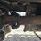 1987-kenworth-w900-image-32