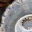 2017-raven-viper-image-63