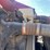 2007-peterbilt-367-image-25