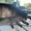 #2540-•-approx-42“-excavator-stump-bucket-image-5