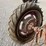 farmall-h-image-36