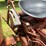 farmall-404-lp-image-38