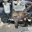 2016-freightliner-108sd-image-36