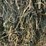 #4622-•-2nd-crop-hay-image-2