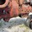 farmall-m-image-37
