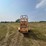 for-most-cattle-chute-image-4
