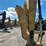 2018-caterpillar-313flgc-image-10
