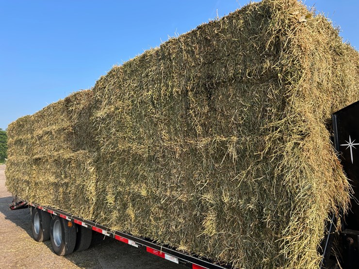 #4623-•-2nd-crop-hay-image-1