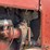 farmall-m-image-34