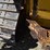 2020-caterpillar-d6n-lgp-image-67