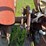 massey-ferguson-50-image-36