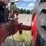farmall-m-image-44