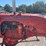 allis-chalmers-b-image-20