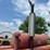 farmall-404-lp-image-26