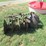 #29250-•-bush'n'bog-6'-drag-type-disk-image-4