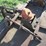 #29508-•-bush-hog-512-5'-pull-type-cutter-28446-image-6