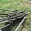 #29250-•-bush'n'bog-6'-drag-type-disk-image-7