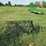 #29225-•-ogden-8’-harrow-image-2