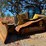 caterpillar-d5-lgp-image-1