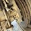 2000-caterpillar-3126-image-61