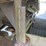 #29516-•-pull-type-fertilizer-buggy-image-15