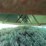 #29248-•-12-ton-bulk-feeder-image-13