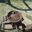 #29515-•-ford-2-row-planter-image-14