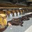 vermeer-mc3700-image-4