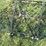 #29225-•-ogden-8’-harrow-image-6