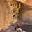 2018-caterpillar-d6t-lgp-image-27