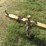 #29546-•-homemade-8'-s/a-steel-utility-trailer-image-11