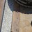 #203531-•-soilmover-scraper-image-8