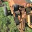 #29505-•-bermuda-king-8320-sprig-harvester-4167-image-20