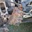 2011-volvo-acl64-image-26